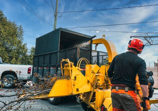 Heavy-Duty Landscaping Takes Heavy-Duty Trucks
