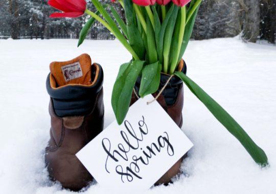 Purpose-Built Trucks Add Versatility, Efficiency for Landscape Contractors